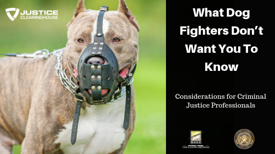 Petfighting Ranks Canine Communication in the Field and Shelter – Justice Clearinghouse