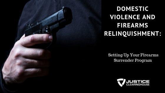 An Introduction to Domestic Violence – Justice Clearinghouse
