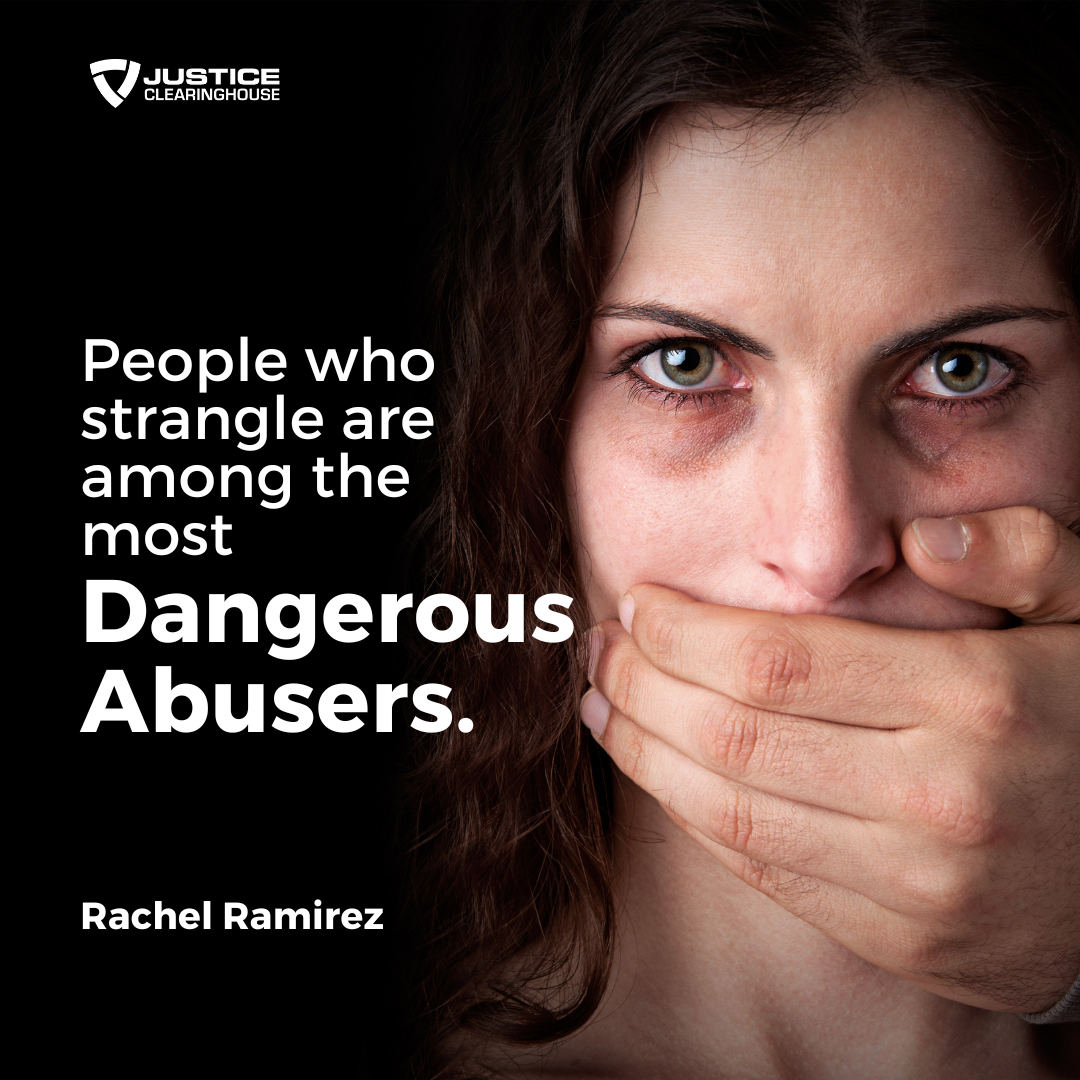 Rachel Ramirez An Introduction to Domestic Violence Traumatic Brain Injury and ...