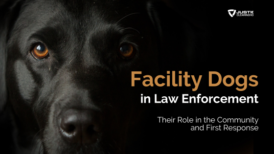 Re-Play: Facility Dogs in Law Enforcement