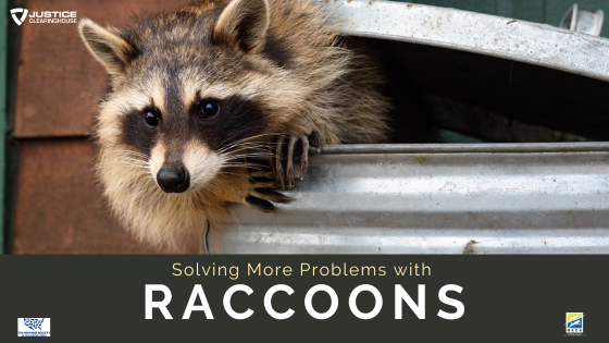 Raccoons, Reports and Real-Time Maps: Using Data and Maps to Tell Wild ...