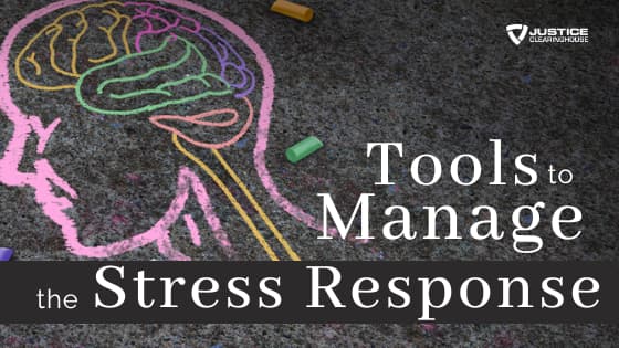 Replay: Tools to Manage the Stress Response