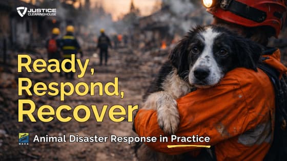 Ready, Respond, Recover: Animal Disaster Response in Practice