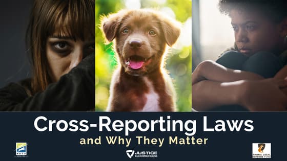Cross-Reporting Laws and Why They Matter
