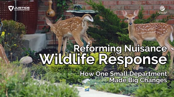 Reforming Nuisance Wildlife Response: How One Small Department Made Big Changes