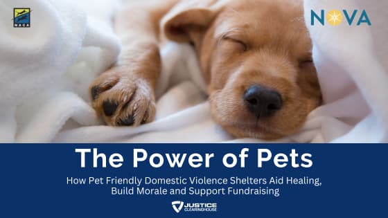 Re-Play: The Power of Pets: How Pet-Friendly Domestic Violence Shelters Aid Healing, Build Morale, and Support Fundraising