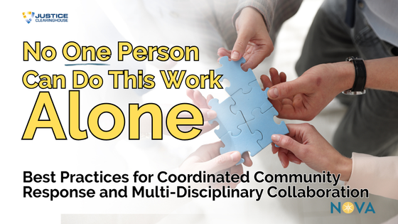 No One Person Can Do This Work Alone: Best Practices for Coordinated Community Response and Multidisciplinary Collaboration