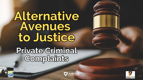 Alternative Avenues to Justice: Private Criminal Complaints